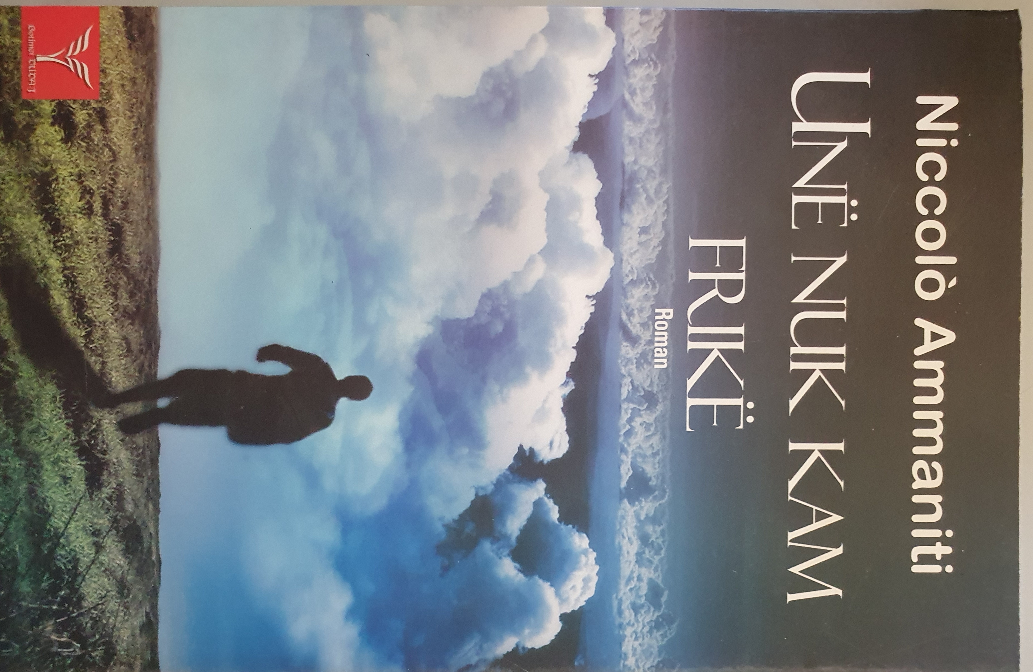 Cover of Unë nuk kam frikë